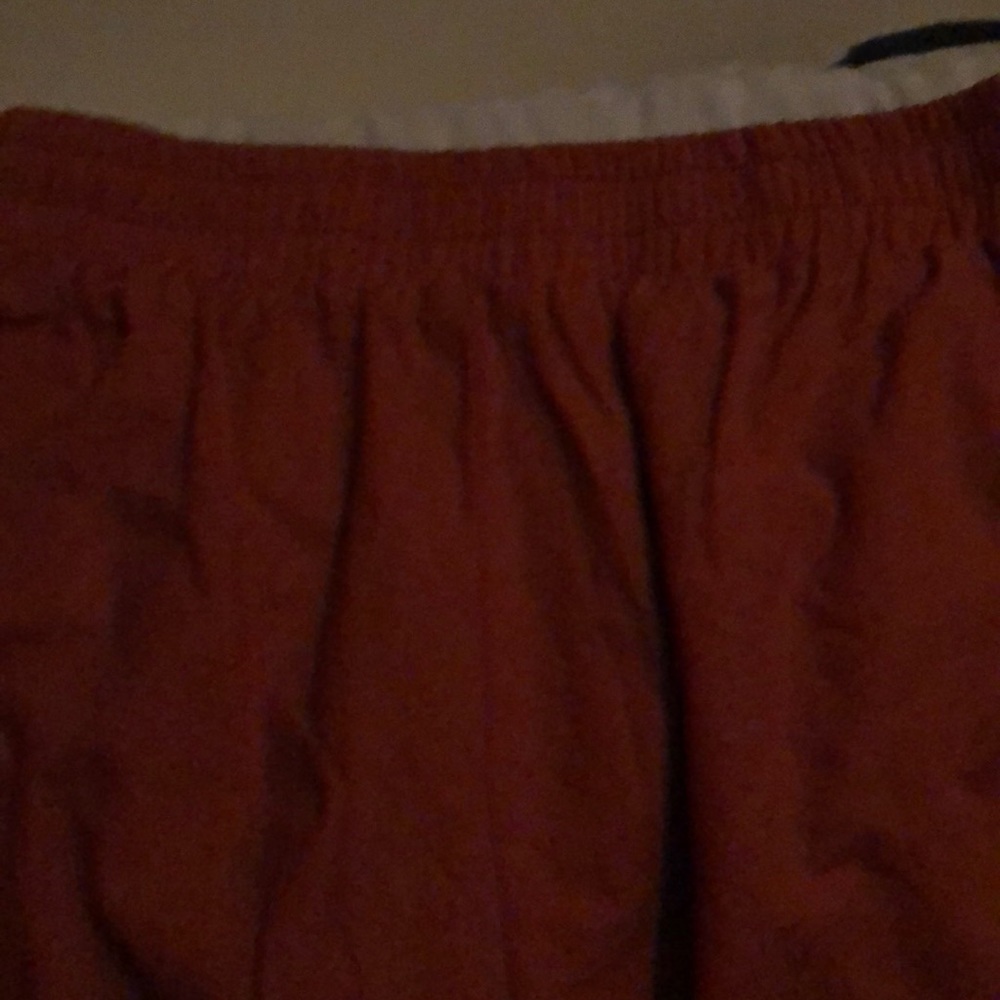 Shorts - Picture 4 of 4